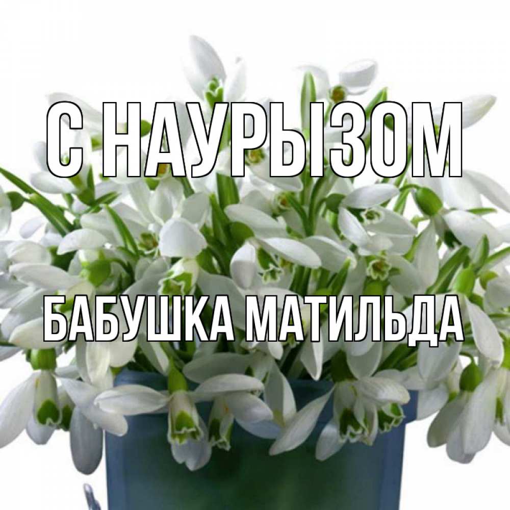 Открытка на каждый день с именем, Бабушка-Матильда С наурызом цветы к наурызу новый год в Казахстане Прикольная открытка с пожеланием онлайн скачать бесплатно 