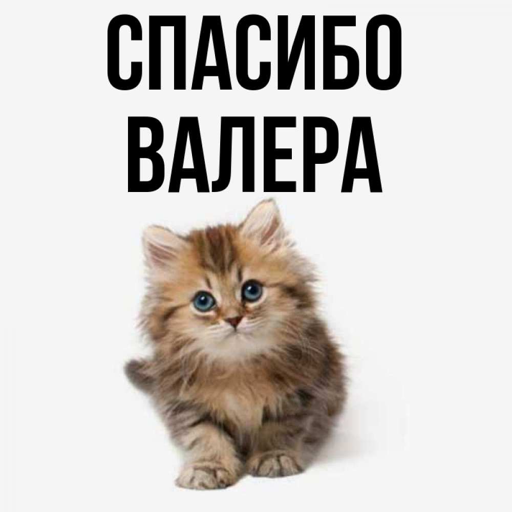 Картинки Спасибо Валера