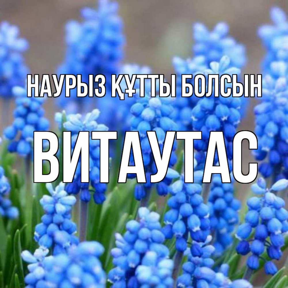 Открытка на каждый день с именем, Витаутас Наурыз құтты болсын Поздравительная открытка для женщин с цветами на праздничную дату Прикольная открытка с пожеланием онлайн скачать бесплатно 