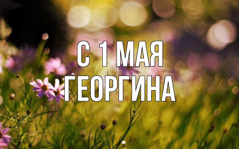 Открытка на каждый день с именем, Георгина С 1 мая С 1 мая Прикольная открытка с пожеланием онлайн скачать бесплатно 