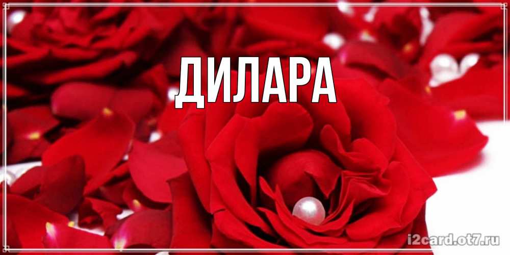 Открытка на каждый день с именем, Дилара Главная роза с жемчужиной на открытке для любимых Прикольная открытка с пожеланием онлайн скачать бесплатно 