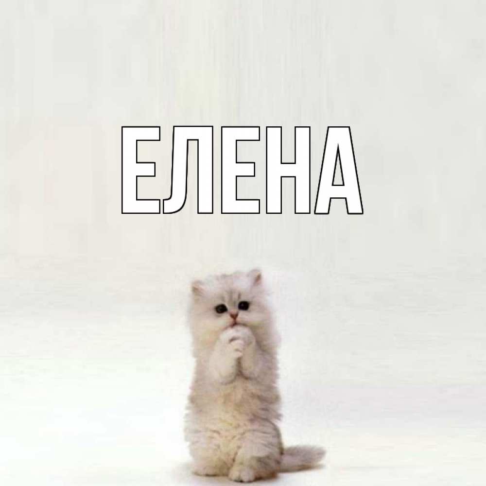 Открытка на каждый день с именем, Елена Главная открытки с креативными подписями Прикольная открытка с пожеланием онлайн скачать бесплатно 