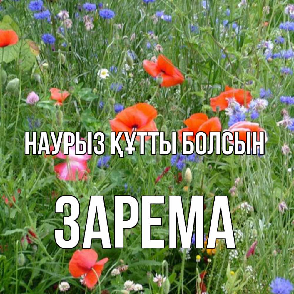 Открытка на каждый день с именем, Зарема Наурыз құтты болсын наурыз  4 Прикольная открытка с пожеланием онлайн скачать бесплатно 