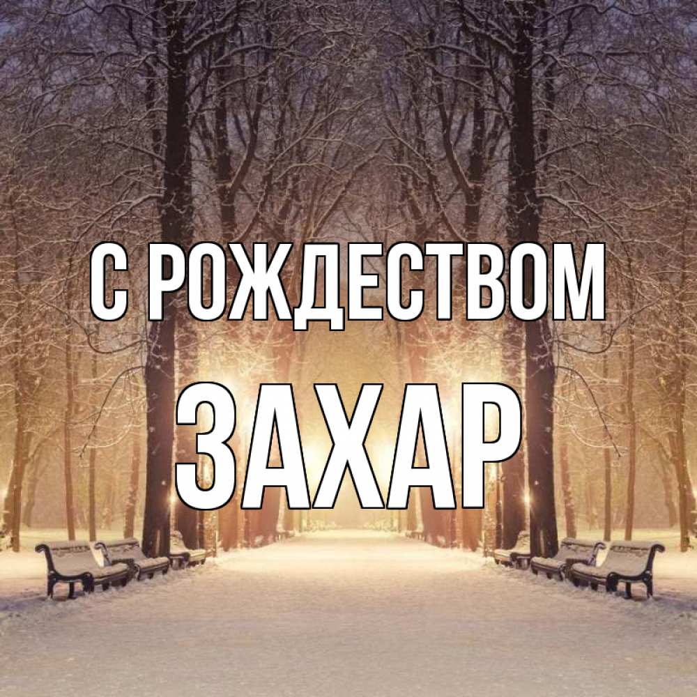 Открытка на каждый день с именем, Захар С рождеством зима, парк, фонарь, лес Прикольная открытка с пожеланием онлайн скачать бесплатно 