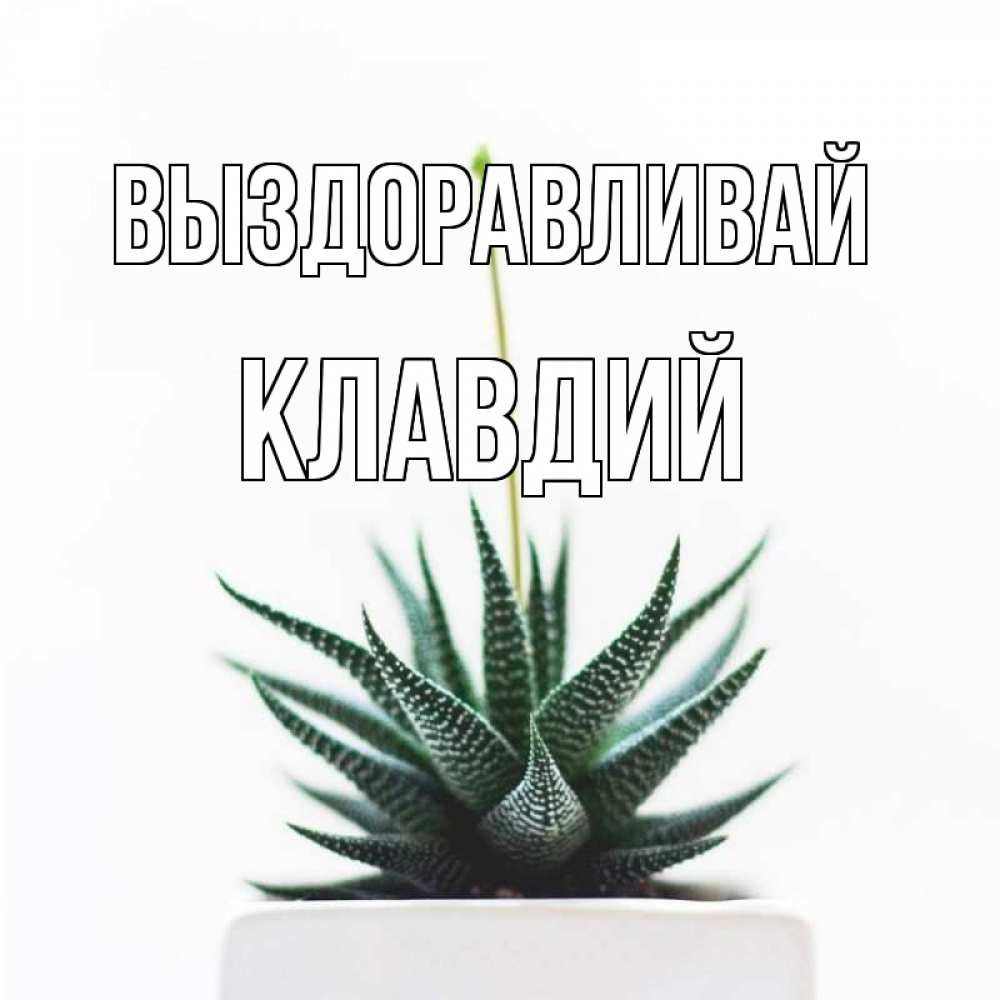 Открытка на каждый день с именем, Клавдий Выздоравливай короче это непонятная колючка Прикольная открытка с пожеланием онлайн скачать бесплатно 