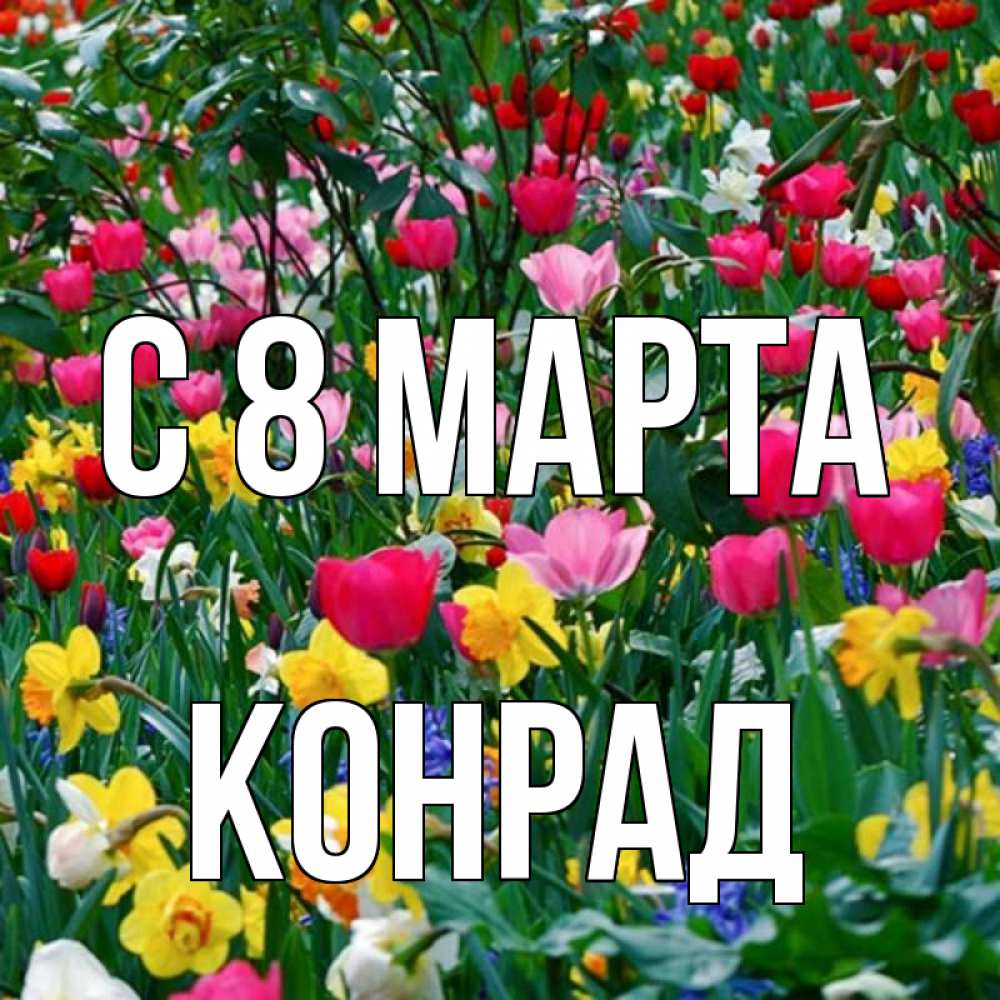 Открытка на каждый день с именем, Конрад С 8 МАРТА с международным женским днем поздравления для женщины Прикольная открытка с пожеланием онлайн скачать бесплатно 