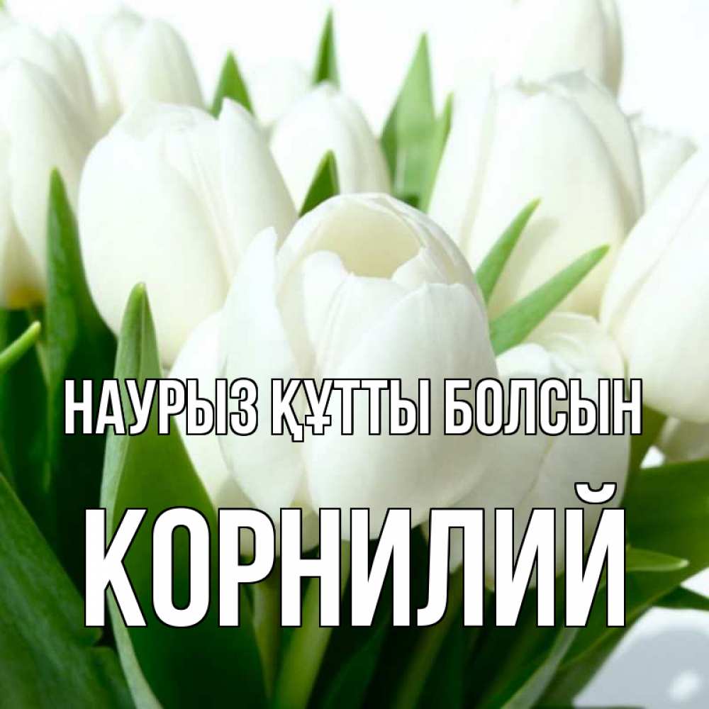 Открытка на каждый день с именем, Корнилий Наурыз құтты болсын цветы Прикольная открытка с пожеланием онлайн скачать бесплатно 