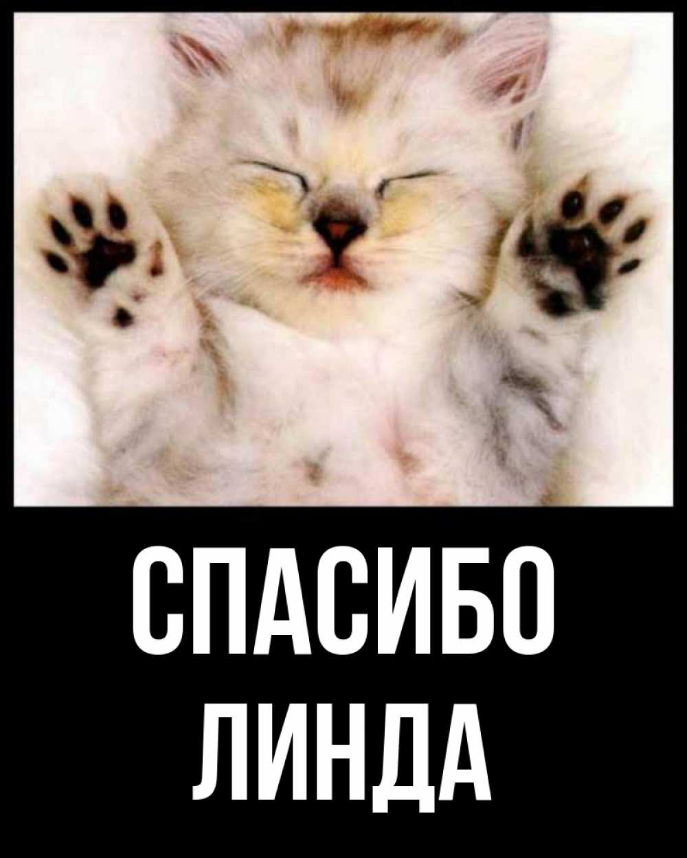 Открытка на каждый день с именем, Линда Спасибо маленький котенок Прикольная открытка с пожеланием онлайн скачать бесплатно 