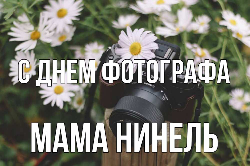 Открытка на каждый день с именем, Мама-Нинель С днем фотографа с днем фотографа Прикольная открытка с пожеланием онлайн скачать бесплатно 