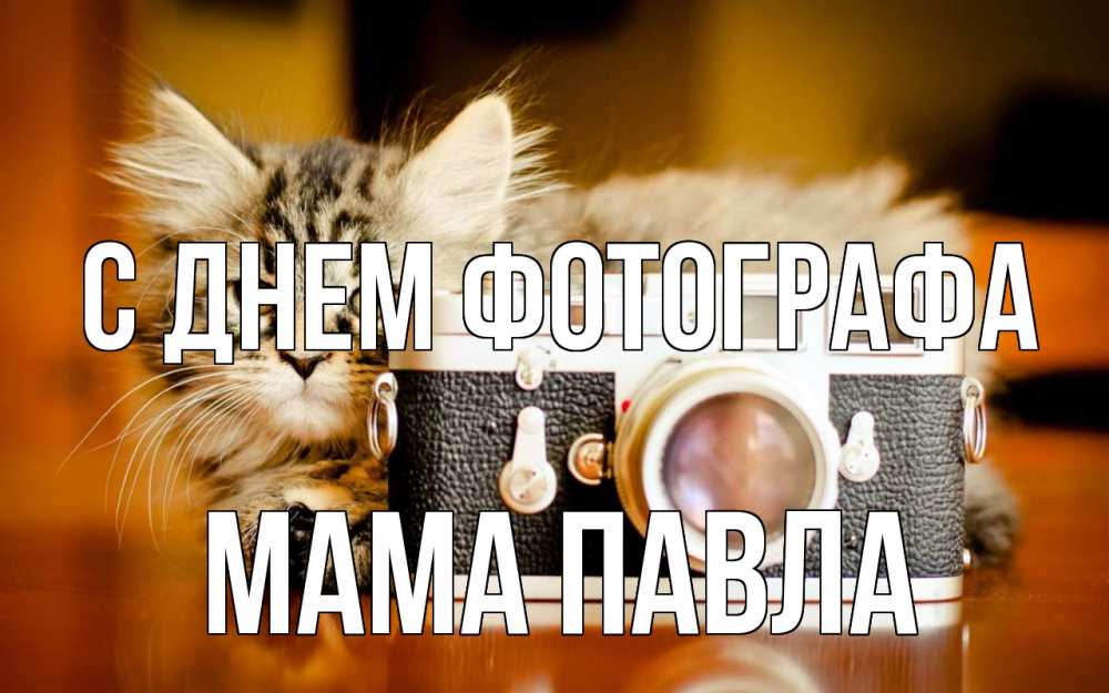 Открытка на каждый день с именем, Мама-Павла С днем фотографа с днем фотографа Прикольная открытка с пожеланием онлайн скачать бесплатно 