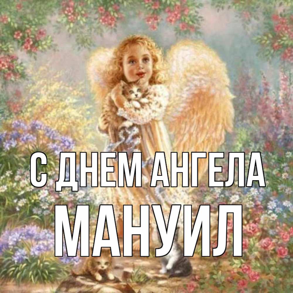 Открытка на каждый день с именем, Мануил С днем ангела держит котенка Прикольная открытка с пожеланием онлайн скачать бесплатно 