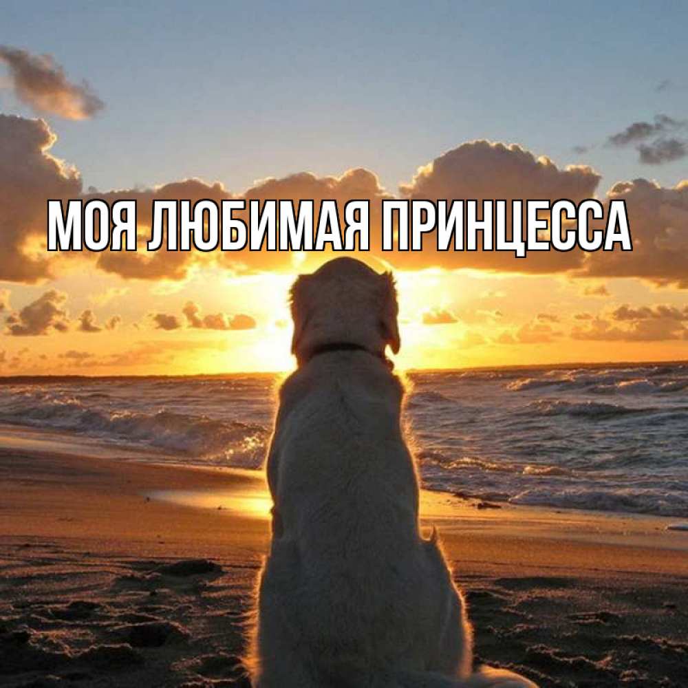 Открытка на каждый день с именем, Моя-Любимая-Принцесса Главная восход солнца Прикольная открытка с пожеланием онлайн скачать бесплатно 