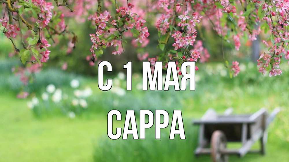 Открытка на каждый день с именем, Сарра С 1 мая С 1 мая Прикольная открытка с пожеланием онлайн скачать бесплатно 