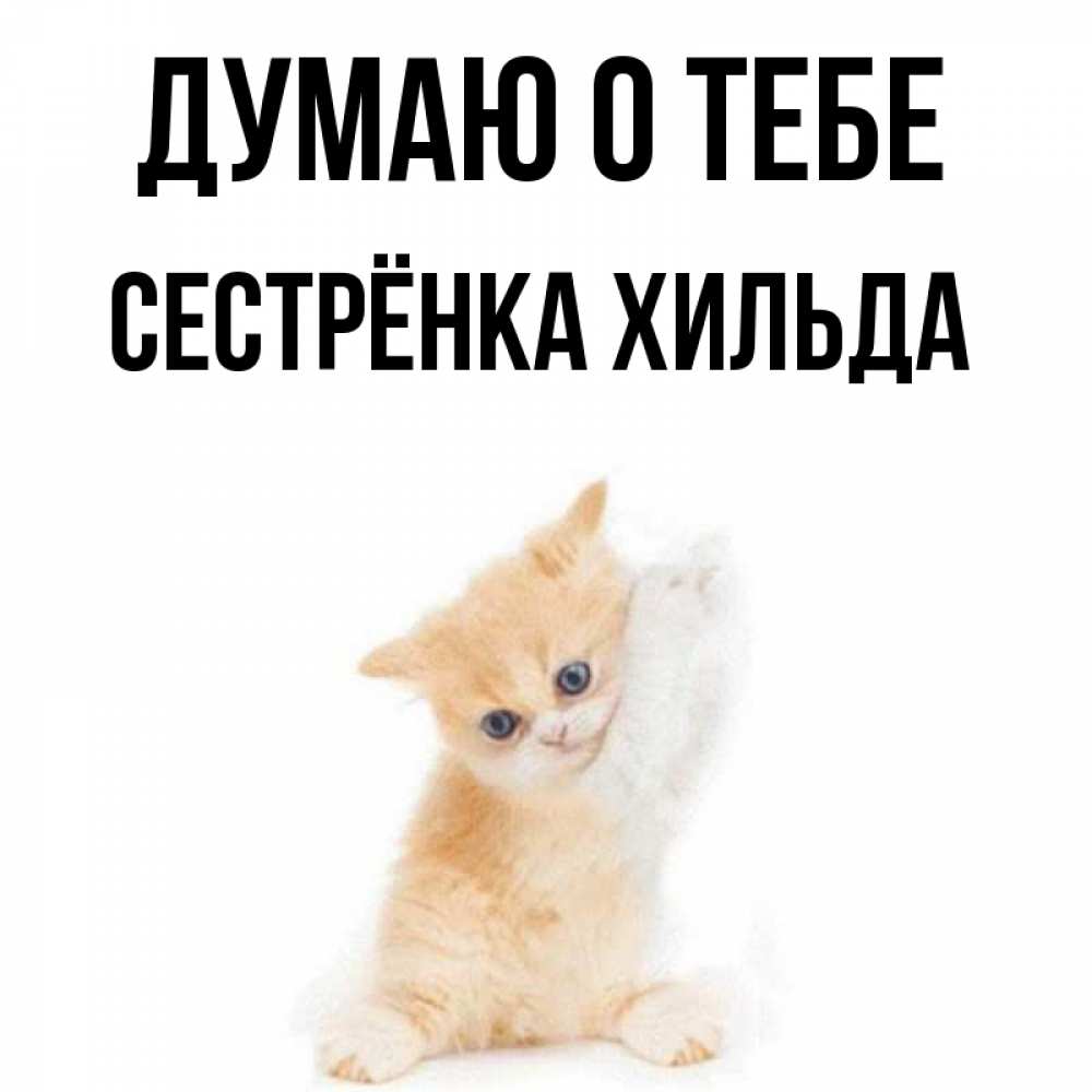 Открытка на каждый день с именем, Сестрёнка-Хильда Думаю о тебе зверушки и милота Прикольная открытка с пожеланием онлайн скачать бесплатно 