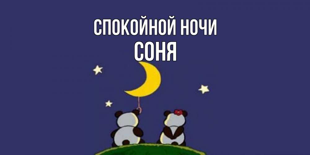 Открытка на каждый день с именем, Соня Спокойной ночи открытка с пожеланиями хорошо выспаться Прикольная открытка с пожеланием онлайн скачать бесплатно 