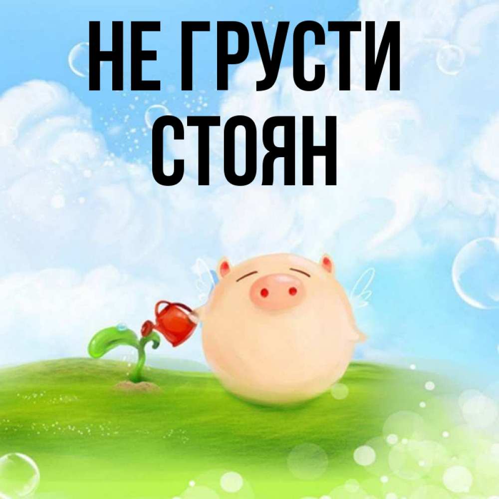 Открытка на каждый день с именем, Стоян Не грусти поливает цветок порося Прикольная открытка с пожеланием онлайн скачать бесплатно 