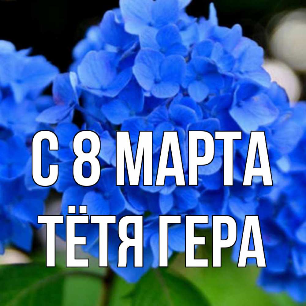 Открытка на каждый день с именем, Тётя-Гера С 8 марта синие цветы Прикольная открытка с пожеланием онлайн скачать бесплатно 