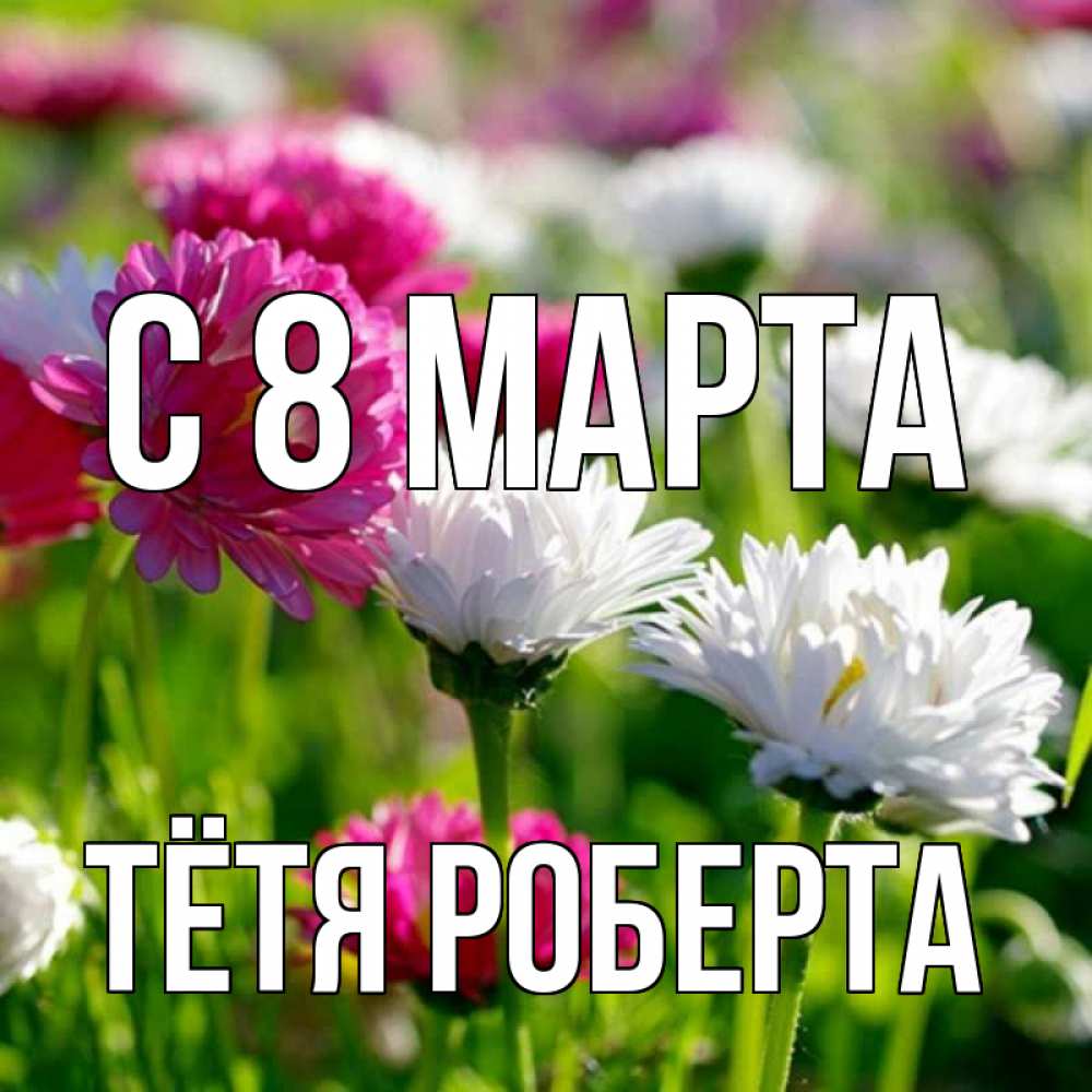 Открытка на каждый день с именем, Тётя-Роберта С 8 МАРТА международный женский день 1 Прикольная открытка с пожеланием онлайн скачать бесплатно 