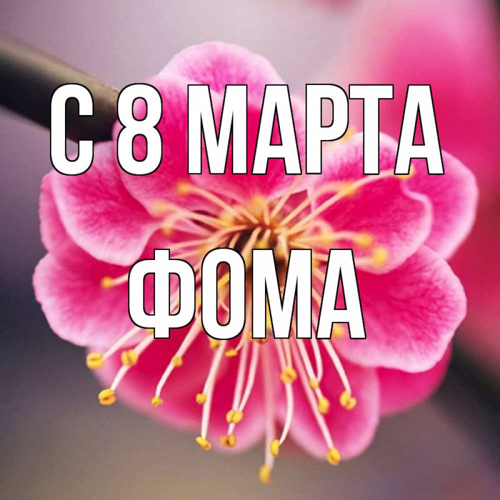 Открытка на каждый день с именем, Фома С 8 МАРТА цветы Прикольная открытка с пожеланием онлайн скачать бесплатно 