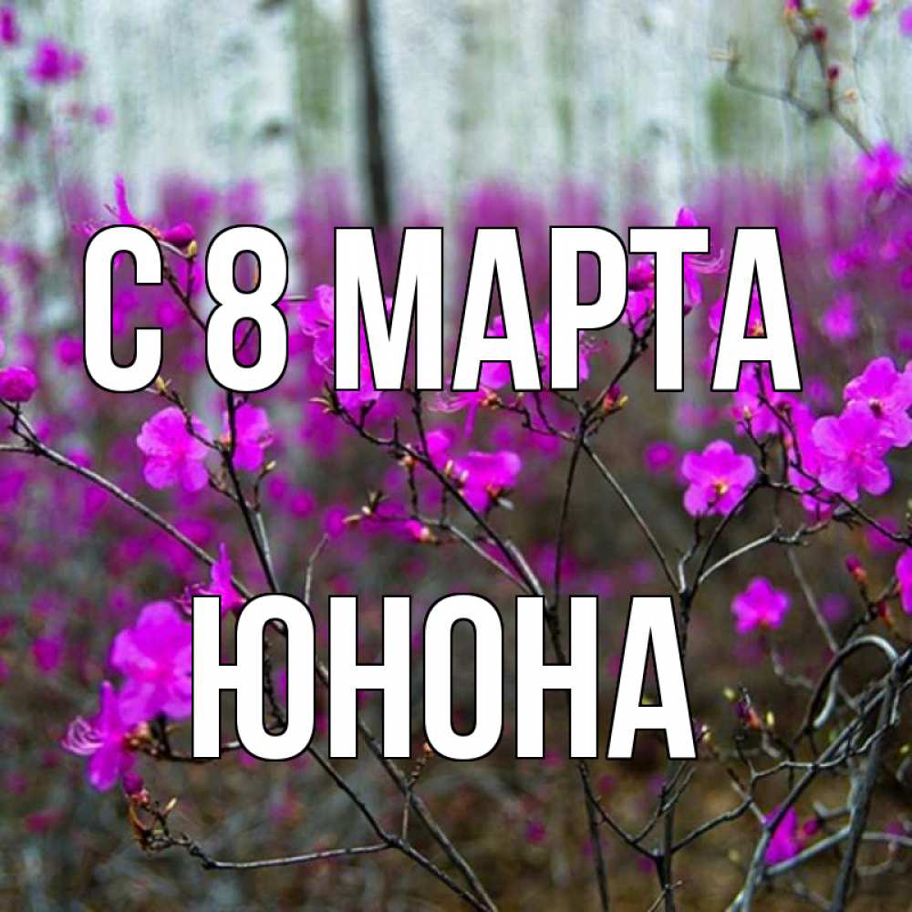Открытка на каждый день с именем, Юнона С 8 МАРТА дикие цветы Прикольная открытка с пожеланием онлайн скачать бесплатно 