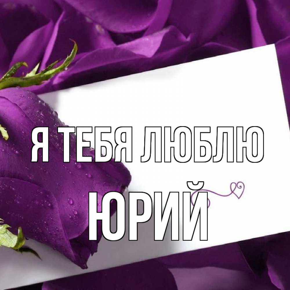 Открытка на каждый день с именем, Юрий Я тебя люблю роза Прикольная открытка с пожеланием онлайн скачать бесплатно 