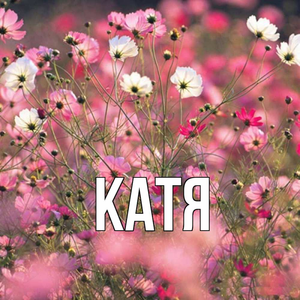 Открытка на каждый день с именем, Катя Главная красиво 1 Прикольная открытка с пожеланием онлайн скачать бесплатно 