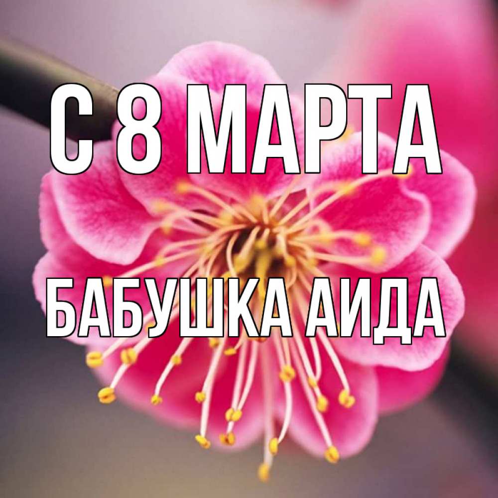 Открытка на каждый день с именем, Бабушка-Аида С 8 марта цветы Прикольная открытка с пожеланием онлайн скачать бесплатно 