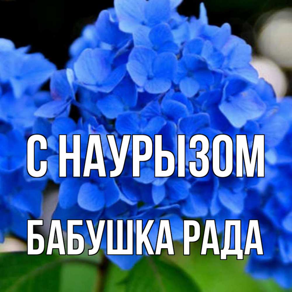 Открытка на каждый день с именем, Бабушка-Рада С наурызом синие цветы Прикольная открытка с пожеланием онлайн скачать бесплатно 