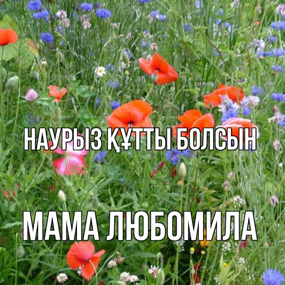 Открытка на каждый день с именем, Мама-Любомила Наурыз құтты болсын наурыз  4 Прикольная открытка с пожеланием онлайн скачать бесплатно 