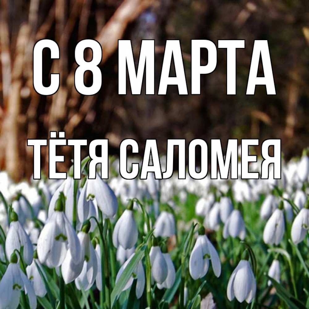 Открытка на каждый день с именем, Тётя-Саломея С 8 марта с подснежниками 1 Прикольная открытка с пожеланием онлайн скачать бесплатно 