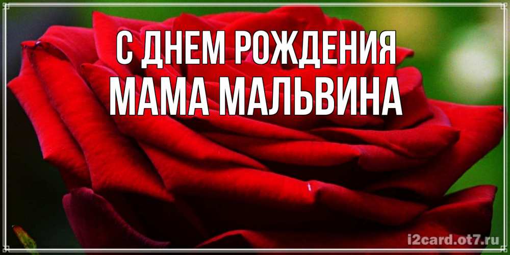 Открытка на каждый день с именем, Мама-Мальвина С днем рождения розочка очень красивая Прикольная открытка с пожеланием онлайн скачать бесплатно 