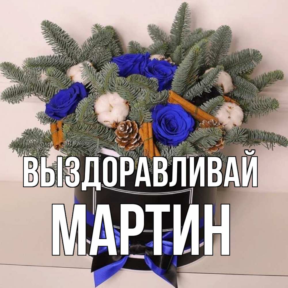 Открытка на каждый день с именем, Мартин Выздоравливай короче кто то загрузил эти шишки Прикольная открытка с пожеланием онлайн скачать бесплатно 