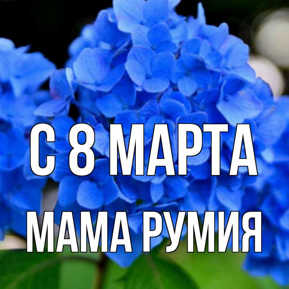 Открытка на каждый день с именем, Мама-Румия С 8 МАРТА синие цветы Прикольная открытка с пожеланием онлайн скачать бесплатно 