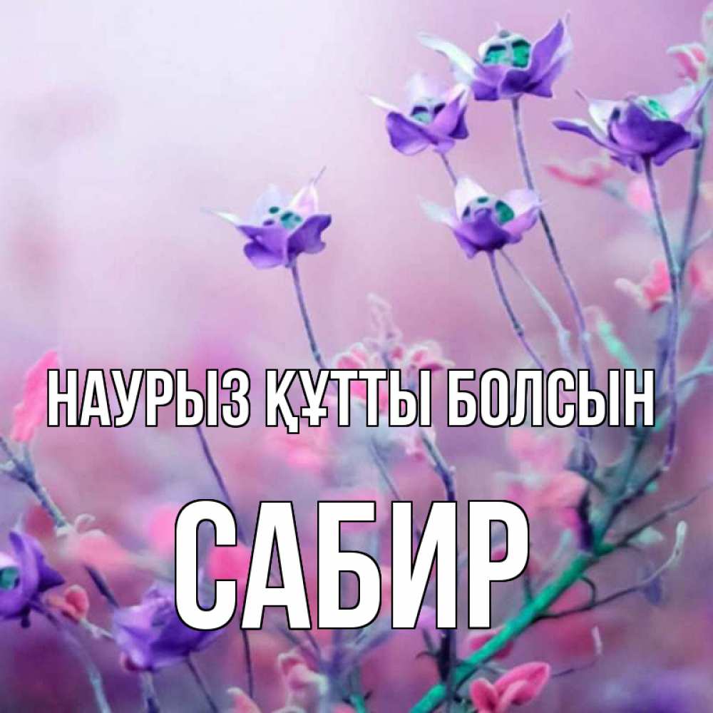 Открытка на каждый день с именем, Сабир Наурыз құтты болсын наурыз  2 Прикольная открытка с пожеланием онлайн скачать бесплатно 