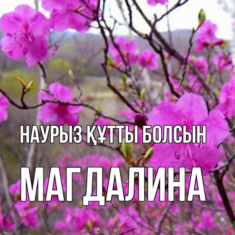 Открытка на каждый день с именем, Магдалина Наурыз құтты болсын наурыз мейрамы кутты болсын Прикольная открытка с пожеланием онлайн скачать бесплатно 