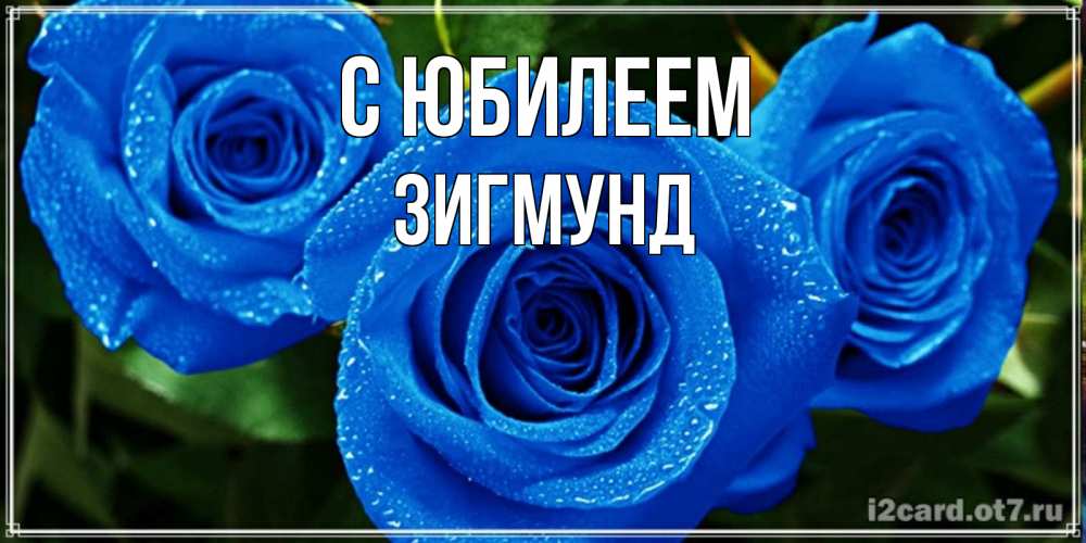 Открытка на каждый день с именем, Зигмунд С юбилеем розы с синим цветом Прикольная открытка с пожеланием онлайн скачать бесплатно 