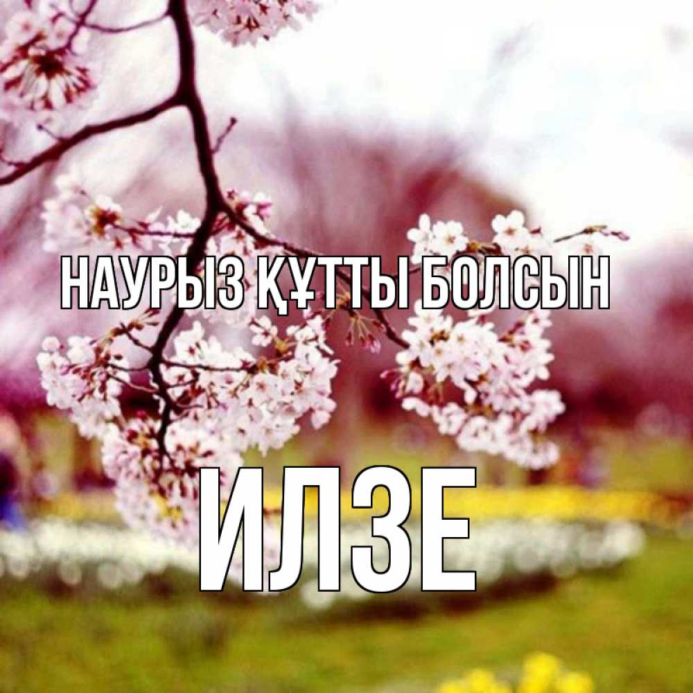 Открытка на каждый день с именем, Илзе Наурыз құтты болсын яблоня Прикольная открытка с пожеланием онлайн скачать бесплатно 