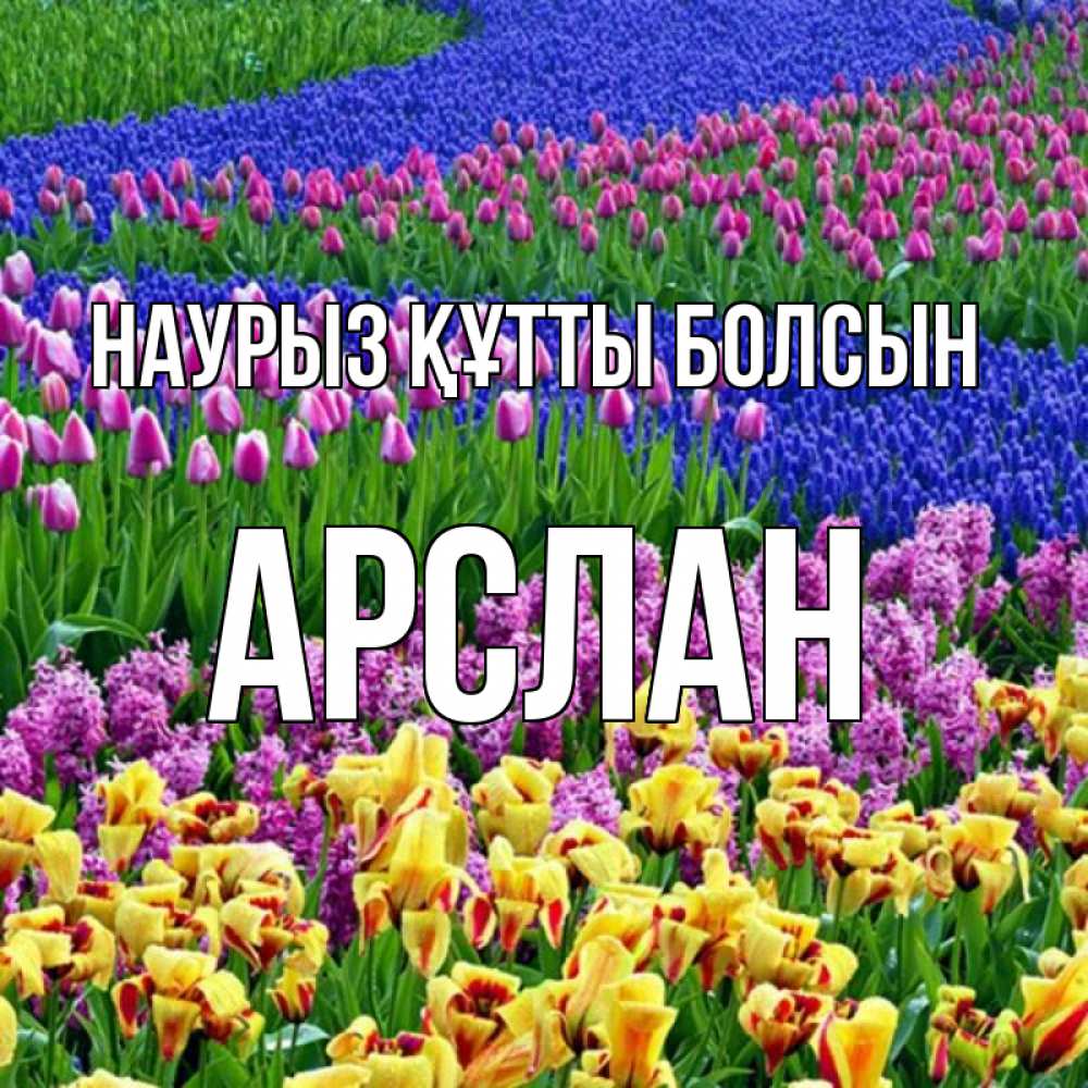 Открытка на каждый день с именем, Арслан Наурыз құтты болсын цветы Прикольная открытка с пожеланием онлайн скачать бесплатно 