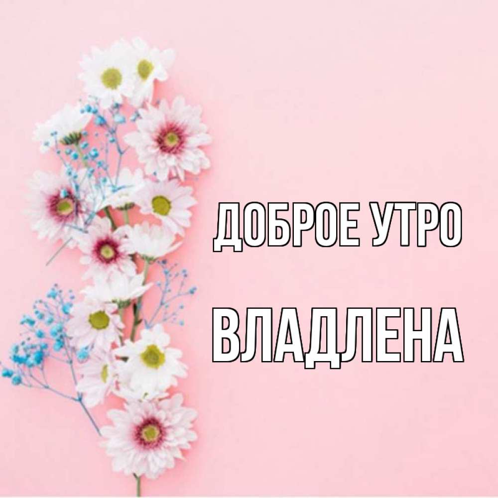 Открытка на каждый день с именем, Владлена Доброе утро цветы с подписью Прикольная открытка с пожеланием онлайн скачать бесплатно 