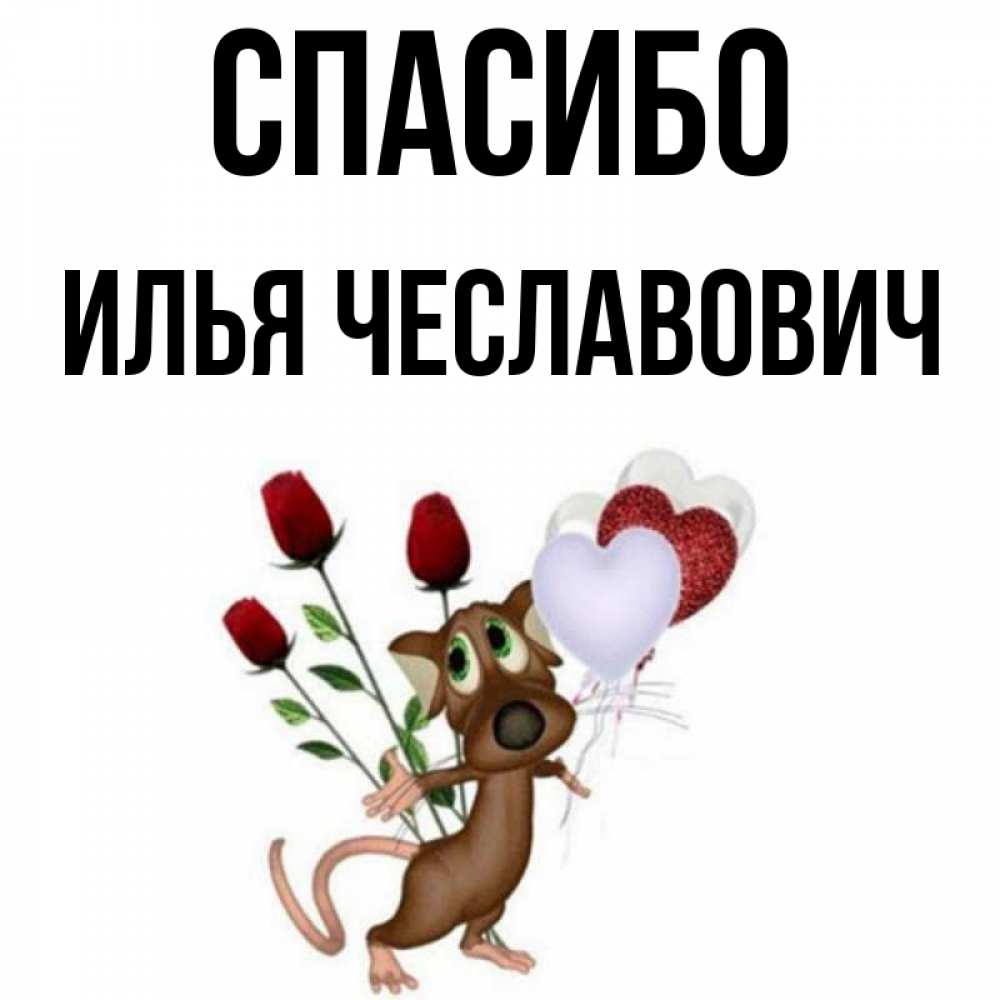 Спасибо Илья За Что