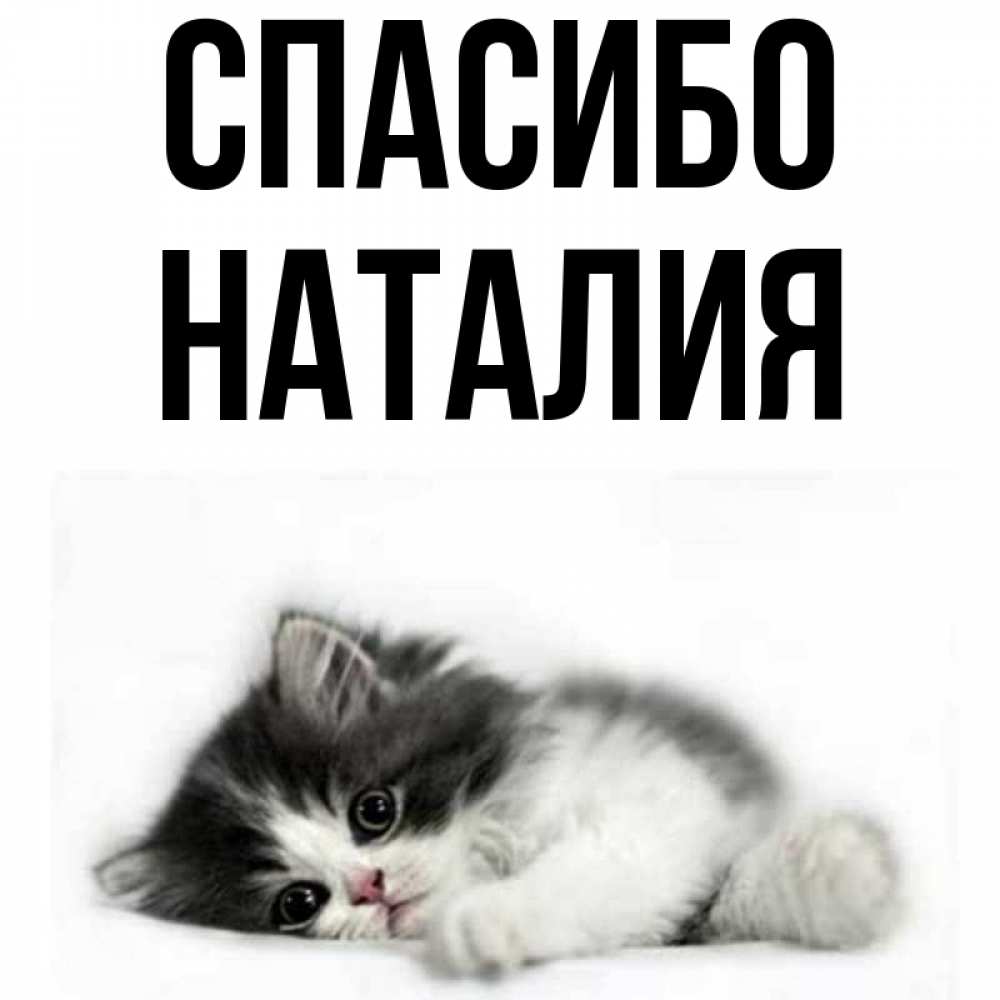 Спасибо наталии. Спасибо наталии
