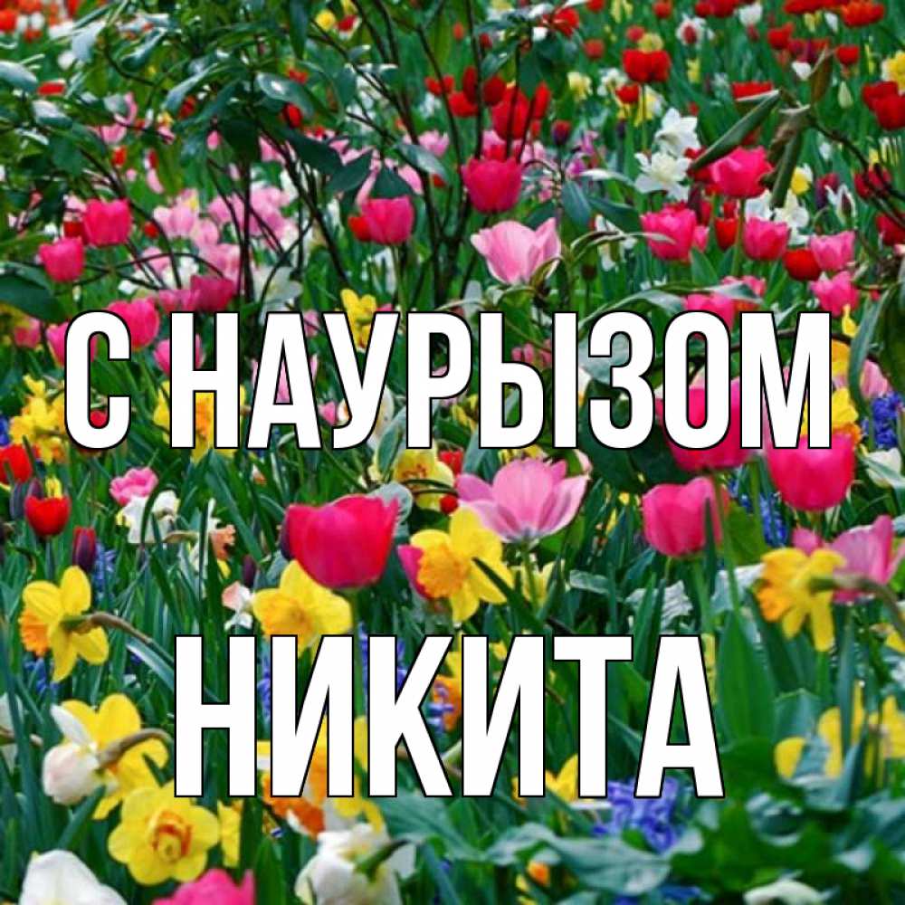 Открытка на каждый день с именем, Никита С наурызом с наурызом праздником весны поздравления для женщины Прикольная открытка с пожеланием онлайн скачать бесплатно 