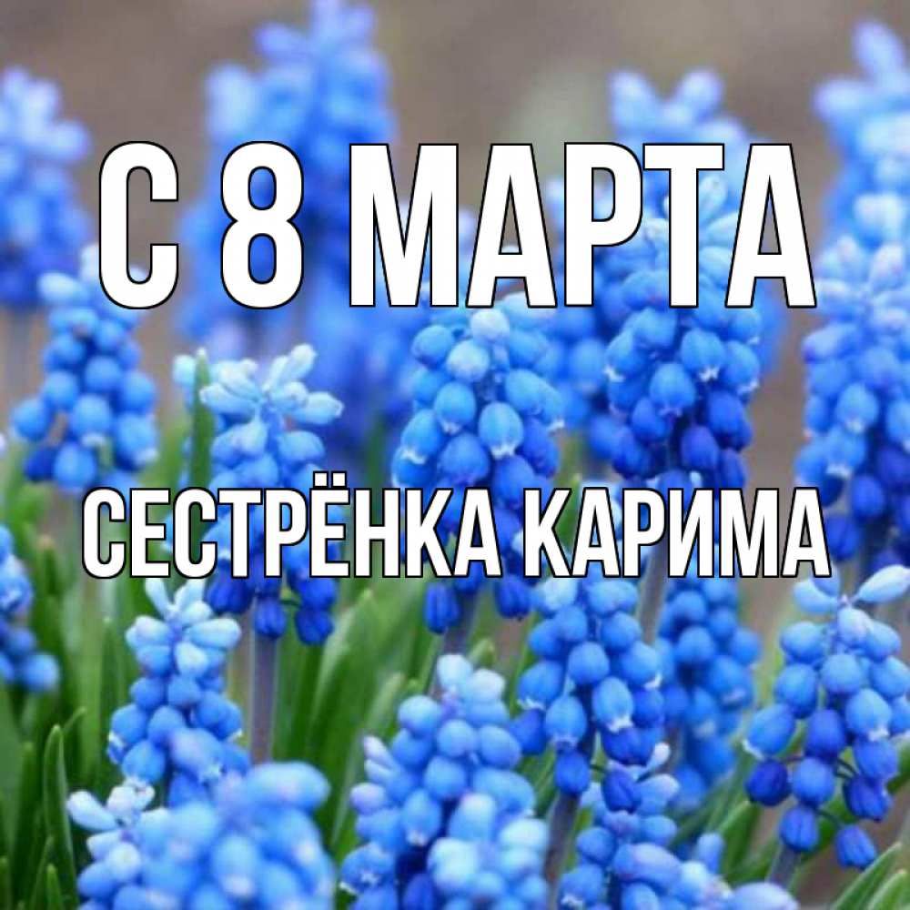 Открытка на каждый день с именем, Сестрёнка-Карима С 8 марта Поздравительная открытка для женщин с цветами на праздничную дату Прикольная открытка с пожеланием онлайн скачать бесплатно 