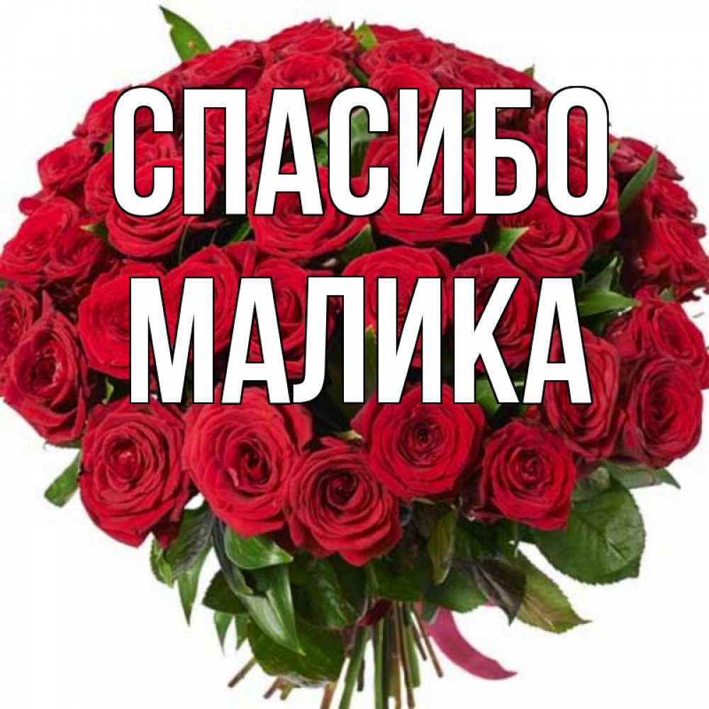 Цветы малика