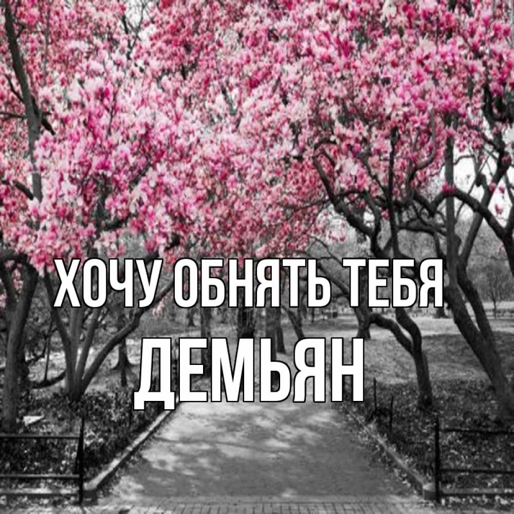 Открытка на каждый день с именем, Демьян Хочу обнять тебя обработанное фото Прикольная открытка с пожеланием онлайн скачать бесплатно 