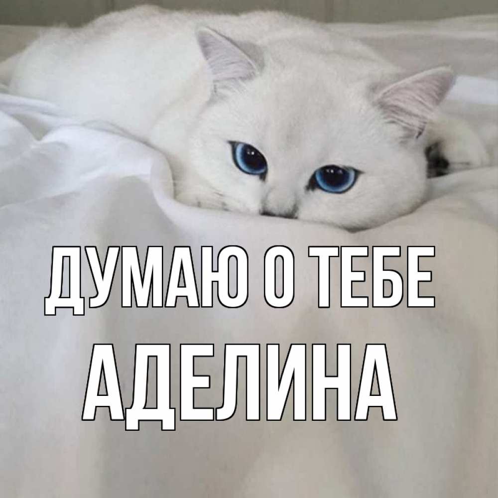 Открытка на каждый день с именем, Аделина Думаю о тебе я очень по тебе скучаю и тоскую Прикольная открытка с пожеланием онлайн скачать бесплатно 
