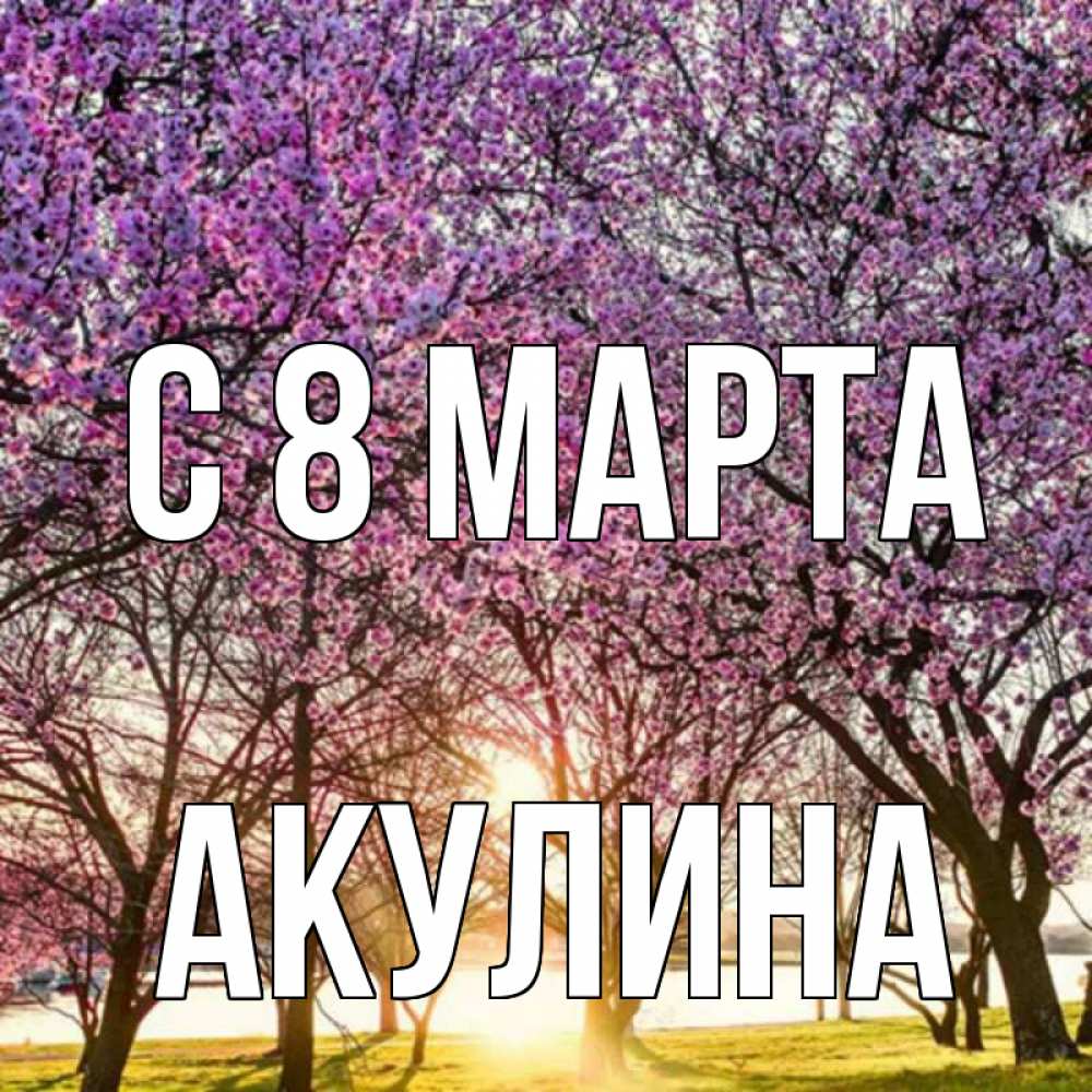 Открытка на каждый день с именем, Акулина С 8 МАРТА международный женский день Прикольная открытка с пожеланием онлайн скачать бесплатно 