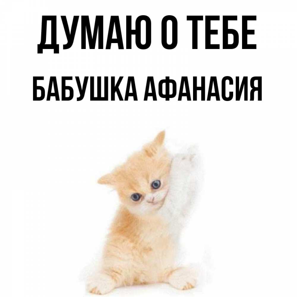 Открытка на каждый день с именем, Бабушка-Афанасия Думаю о тебе зверушки и милота Прикольная открытка с пожеланием онлайн скачать бесплатно 
