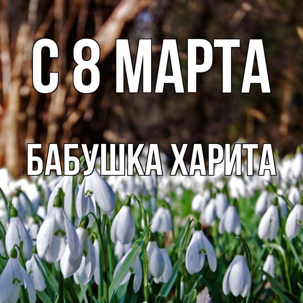 Открытка на каждый день с именем, Бабушка-Харита С 8 МАРТА с подснежниками 1 Прикольная открытка с пожеланием онлайн скачать бесплатно 