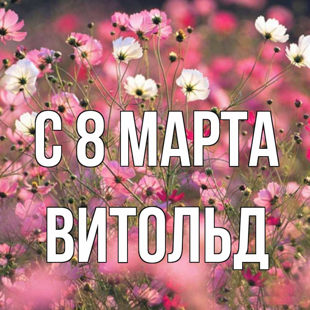 Картинка С 8 МАРТА, Витольд